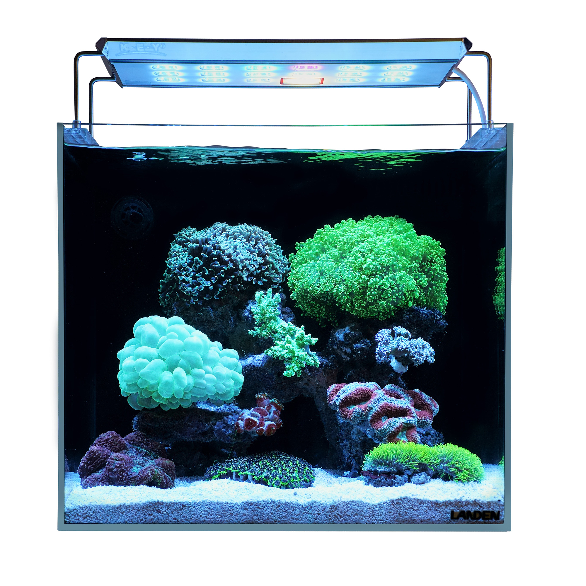 LANDEN 45P 15 Gallon Ultra Clear All Glass Rimless Low Iron